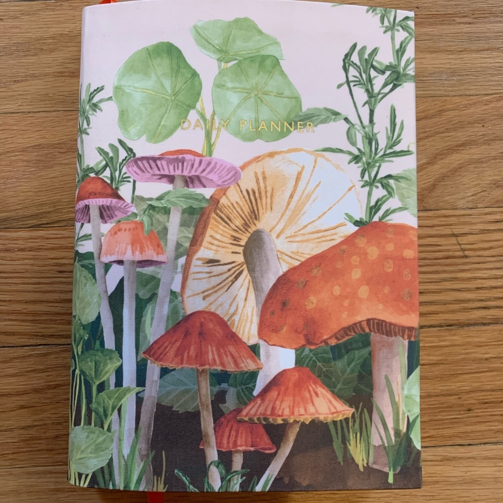 Urban Outfitters daily planner